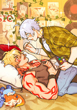 Load image into Gallery viewer, ☆ HSR Phaidei Print ☆
